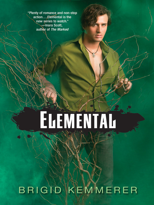 Title details for Elemental by Brigid Kemmerer - Wait list